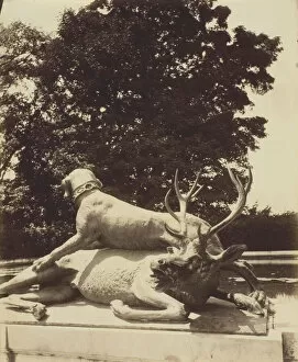 Wild Animal Gallery: Versailles, Fountaine du Point du Jour, 1903. Creator: Eugene Atget