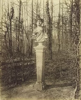 Versailles, Trianon, (Coin de Parc), 1902. Creator: Eugene Atget