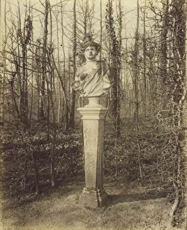 Versailles France Collection: Versailles, Trianon, (Coin de Parc), 1902. Creator: Eugene Atget