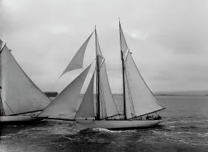 Schooner Prints: Viator, 1891. Creator: Johns Johnston
