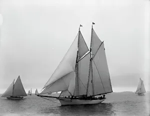 Schooner Prints: Viator, 1896 July 22. Creator: Johns Johnston