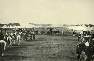 Bourne Prints: The Viceroys Camp at the Imperial Assemblage, January 1877, (1901)
