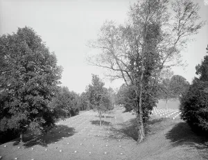 War Dead Prints: Vicksburg National Cemetery, terraces, between 1880 and 1897. Creator: William H. Jackson