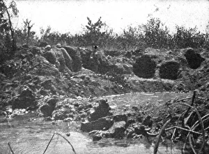Victoire Italienne; sur le bord de la Piave, des bersagliers reorganisent une position... 1918. Creator: Unknown