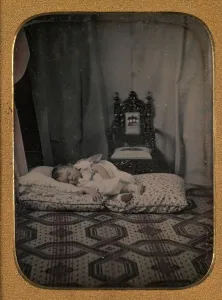 Elgin Gallery: Victor Alexander Bruce (1849-1917), 1st Son of the 8th Earl of Elgin (Canada), 1851