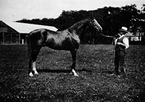 British Sports And Sportsmen Collection: Victor Wild, 1911