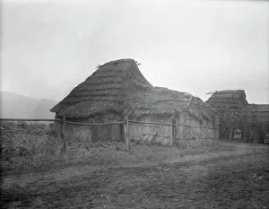 Habitation Prints: View of Ainu village, 1908. Creator: Arnold Genthe