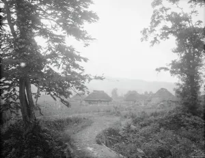Habitation Prints: View of Ainu village beyond trees, 1908. Creator: Arnold Genthe