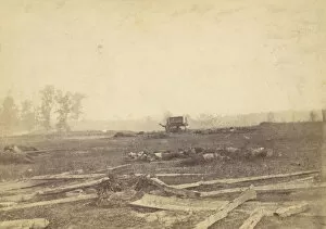 Antietam Gallery: View on the Battlefield of Antietam, September 1862, 1862. Creator: Alexander Gardner