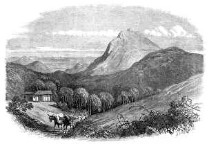 Mules Prints: View of the Bay of Rio de Janeiro