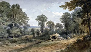 Bayswater Prints: View of Bayswater Hill, London, 1803. Artist: William Crotch