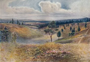 View from Beacon Hill, Hindhead, 1911, (1914). Artist: Jamess Ogilvy