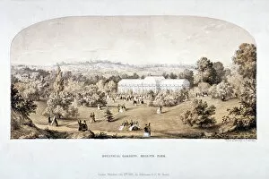 Botanic Gardens Gallery: View of the Botanical Gardens in Regents Park, Marylebone, London, 1851