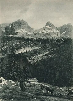 View of the Brenta Group with alpine pasture, Madonna di Campiglio, Dolomites, Italy, 1927. Artist: Eugen Poppel