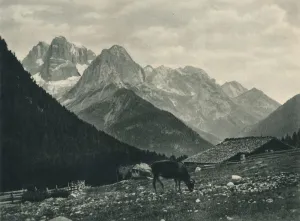 View of the Brenta Group with alpine pasture, Madonna di Campiglio, Dolomites, Italy View of the Brenta Group with alpine pasture, Madonna di Campiglio, Dolomites, Italy