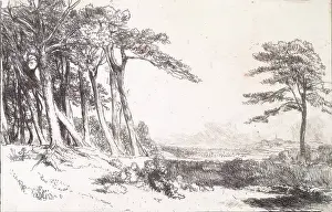 Andrew Prints: View in Caen Wood, Hampstead, c1800-1844. Creator: Andrew Geddes