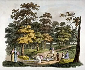 London Landmarks Collection: View of the dipping well in Hyde Park, Westminster, London, c1810