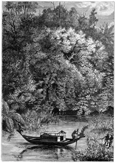 View on the Dodinga River, New Guinea, 1877