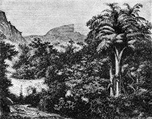 View of the 'Duke's Nose' in the Ghaurs, near Khandallah, c1891. Creator: James Grant