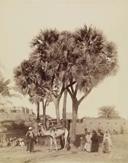 Underneath Prints: View of an Egyptian Village, 19th century. Creator: Anon