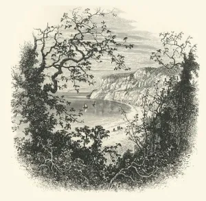 Ravine Collection: View from the Entrance to Shanklin Chine, c1870