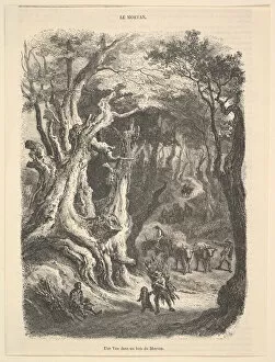 Burgundy Collection: A View in the Forest of Morvan, 1837-66. Creator: Jean-Antoine Watteau