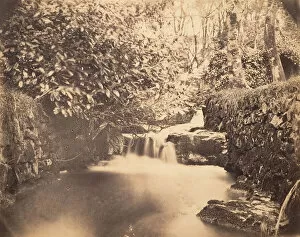 Brook Collection: View in the Gardens at Netherley, ca. 1856-59. Creator: Horatio Ross