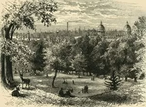 View in Greenwich Park, (c1878). Creator: Unknown