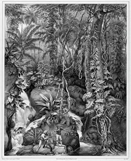Godefroy Engelmann Prints: View of the Interior of Luzon Island