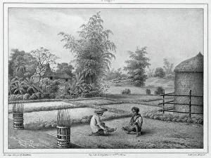 View of the Interior, Luzon Island, Philippines, 19th century. Creators: Friedrich Heinrich Kittlitz, Victor Adam, Godefroy Engelmann