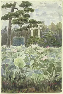 1900 Prints: View of a Japanese garden, 1900. Creator: Fritz Hauck