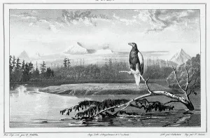 Godefroy Engelmann Prints: View of the Kamchatka River Kamchatka peninsula
