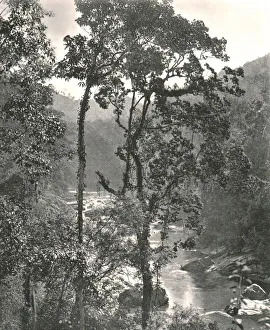 Tropical Prints: View of the Kelani River, Kurunegala, Ceylon, 1895. Creator: W &s Ltd
