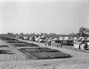 Resettlement Prints: View of Kern County migrant camp showing community garden plots
