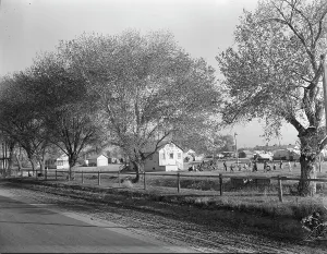 View of Kern migrant camp, California, 1936. Creator: Dorothea Lange