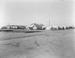Refugee Camp Prints: View of Kern migrant camp...sanitary units, CA, 1936. Creator: Dorothea Lange
