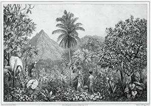 South Sea Islander Prints: View of Kosrae Island, Caroline Islands
