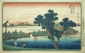 View of the Lotus Pond at Shinobugaoka (Shinobugaoka hasuike no zu), from the series... c. 1831. Creator: Ando Hiroshige