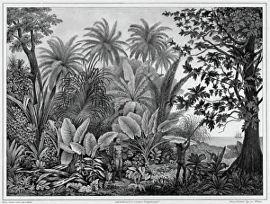 South Sea Islander Prints: View of Lukunor Island, Lower Caroline Islands