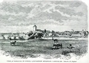 Nordic Museum Prints: View of Mariestad, the meeting place of the Swedish countrymen in August 1874