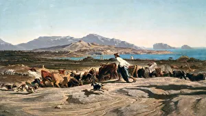 Stampede Prints: A View of Marseille, c1829-1863. Artist: Emile Charles Joseph Loubon