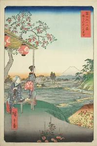 Tea House Prints: View of Mount Fuji from a Teahouse at Zoshigaya (Zoshigaya Fujimi chaya)