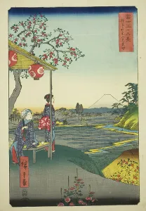 View of Mount Fuji from a Teahouse at Zoshigaya (Zoshigaya Fujimi chaya), from the... 1858. Creator: Ando Hiroshige