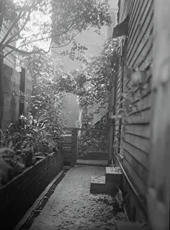 Alleyway Prints: View down narrow outdoor passageway