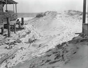 Bungalow Prints: View near Arnold Genthe's bungalow in Long Beach