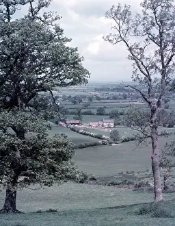 Wales Prints: View near Llandysul, Wales, c1955. Creator: Arthur Charles Kirby Ware