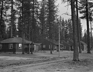 Timber Gallery: View of new model company lumber town housing for millworkers. Gilchrist, Oregon, 1939