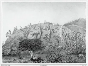 View of the Outskirts of Valparaiso, Chile, 19th century. Creators: Alexander Postels, Leon Jean-Baptiste Sabatier
