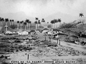 Tabacalera Cubana Gallery: View of Palma, (1896), 1920s