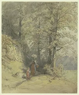 Path Prints: View of the path over the oaks below the Philosopher's Walk in the valley near Kronberg